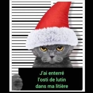 Meet your Posher, Regis